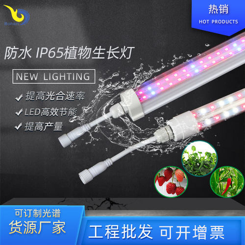 LED防水灯管 双排全光谱红蓝 T8防水一体化植物生长T8防水灯管