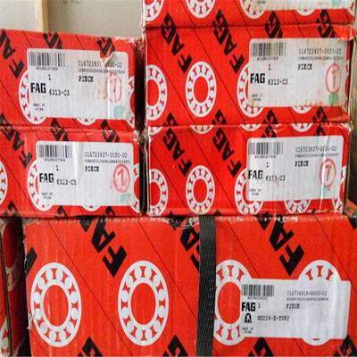 6313C3 德国轴承6300 6301 6302 6303 6304 6305 6306 6307 6308M