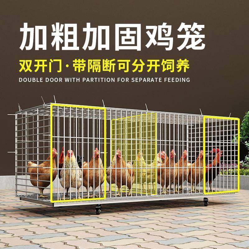 养鸡子家用养殖笼铁笼子号鸡舍蛋MVE特大笼包邮,农机/农具/农膜,农用防护器具,淘宝优惠券,粉丝福利购,淘宝优惠卷