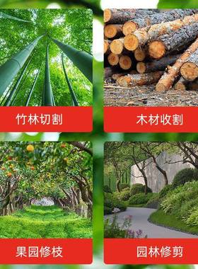 枝厂家充电锂MWL电锯无刷电链锯便携式伐木修园劈式柴锯批园林专