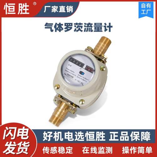 高精度罗茨气体流量计腰轮计量表机械式插管一寸立方米 厂家直发