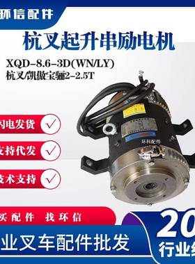 XQD-8.6-3D(WN/LY)杭叉起升串励电机(F4WN)HB140凯傲宝骊2-2.5T