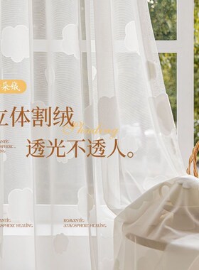 【云朵纱】透光不透人卧室阳台客厅防勾丝耐磨免打孔纱帘加厚