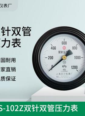 厂家推荐YZS-102ZT双针双管压力表轴向双针双管压力表水压表
