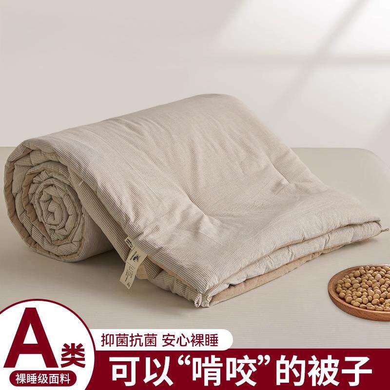 A类全棉大豆纤维被子被芯单人春秋被冬季双人冬被四件套