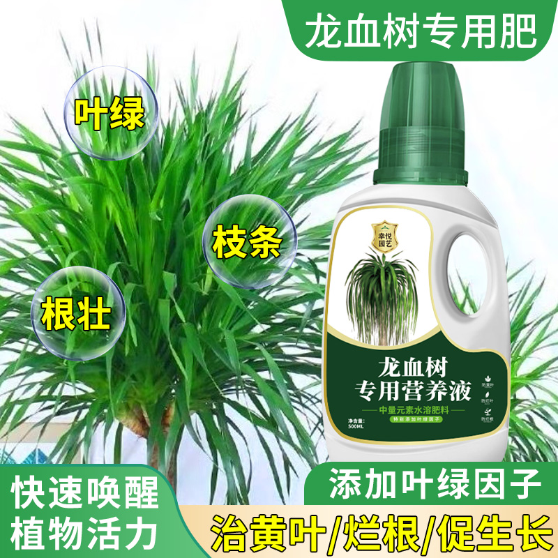 龙血树营养液龙血树专用肥料龙铁树龙须树叶子发黄肥料专用营养土