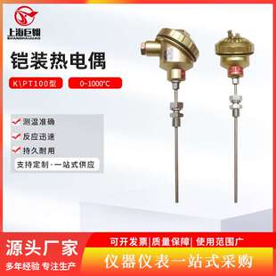 K型铠装 222 工业用插入式 热电偶快速测温感温线热电偶 热电偶WRNK
