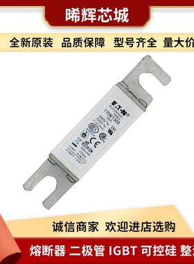 170M1421 170m1422 170M1423 标准封装低压快速熔断器型号齐全