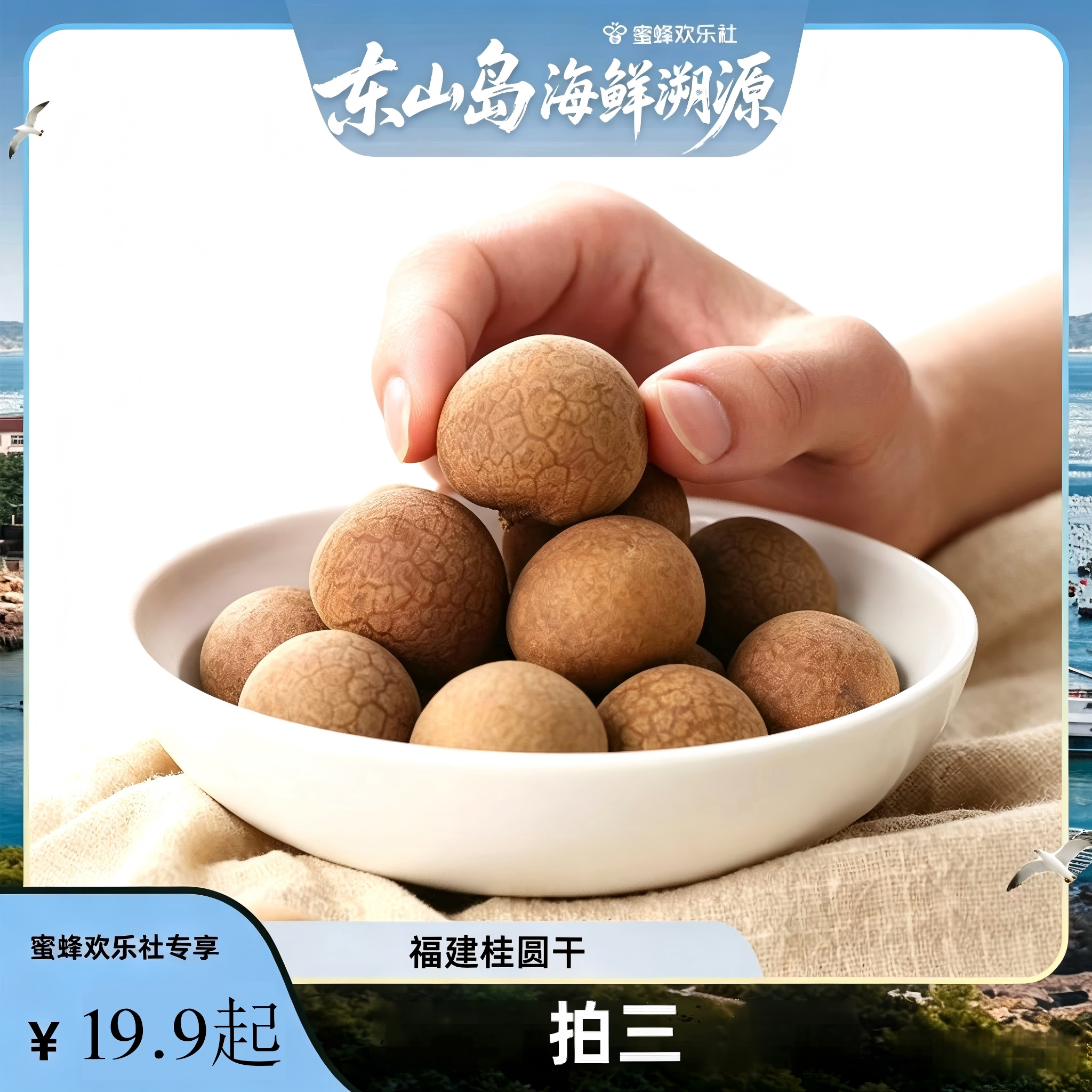 【福建溯源专场】肉厚新货新果龙眼干大果非无核泡水炖汤泡茶特产图片