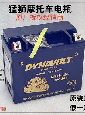 隆鑫无极电池300R 250RR AC GY 500R 650DS 525R 150GT摩托车电瓶