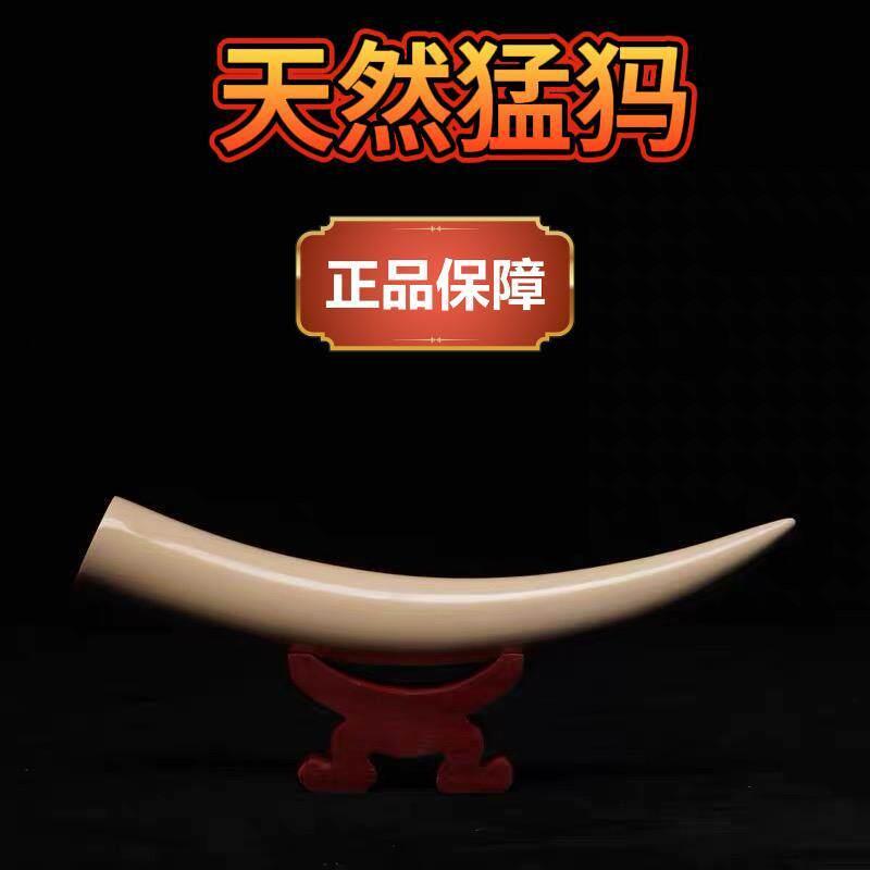 猛犸牙小素摆家居摆件装饰品客厅玄关办公室收藏品