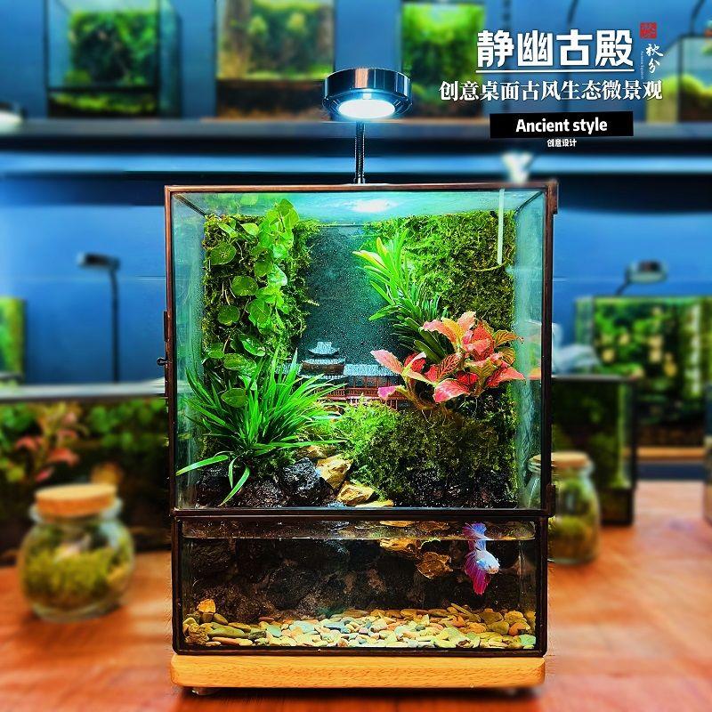 创意造景雨林缸生态流水养鱼微景观桌面摆件鱼缸小型家用