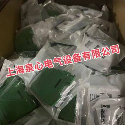 菲尼克斯 MINI MCR-BL-PT100-I-NC-2810489 现货