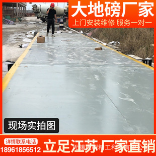 大树衡器电子汽车衡30吨60吨80吨100吨120吨大型地磅秤厂家包安装