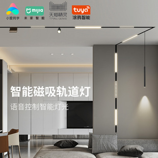 照明薄款 智能磁吸轨道灯极窄暗装 明装 无主灯嵌入式 线条灯 预埋明装