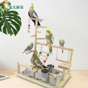 鹦鹉互动游乐场 台架站架 玄凤鹦鹉鸟玩具 益智秋千用品攀爬梯子