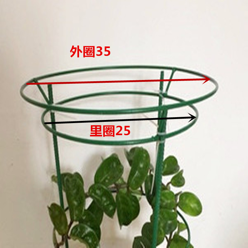 蟹爪兰支架伞型花架蟹爪莲嫁接自根简约架花爬藤支撑组装花架子图片