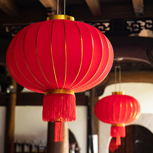 2024龙年春节新年装 饰大红灯笼吊灯中国风阳台一对户外大门口布置
