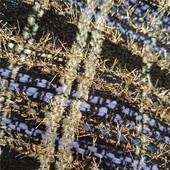 服饰编织用牛皮纸包装 欧美风格 小香风面料粗花呢金葱线布料 毛织