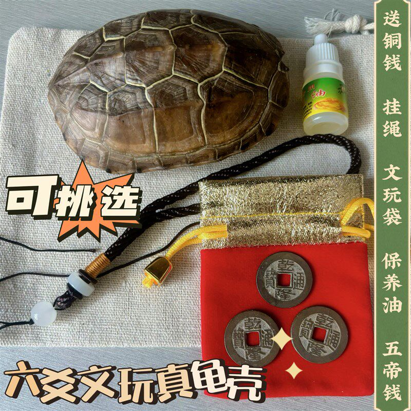 天然文玩真乌龟壳爻卦六爻文玩龟甲卜乾隆通宝铜钱草龟壳富甲摆件
