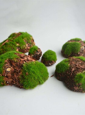 模拟假山石青苔钢石摆件室内窗饰石造景青苔石泡沫道具
