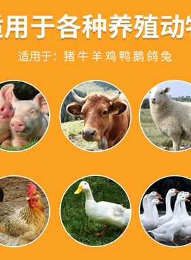 冰爽vc兽用清凉一夏禽用解暑抗热鸡鸭鹅鸽子猪牛羊应激补维生素C