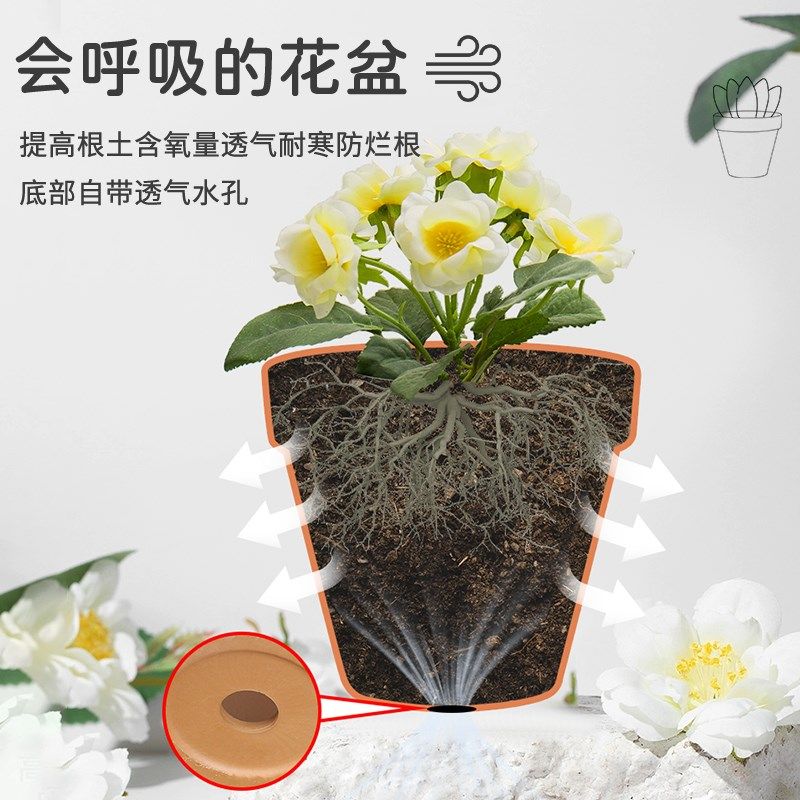 DEROMA帝罗马国际陶土盆多肉花卉绿植落地阳台红陶盆家庭园艺花盆,鲜花速递/花卉仿真/绿植园艺,花盆,淘宝优惠券,粉丝福利购,淘宝优惠卷