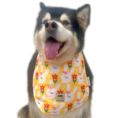 升级款 宠物狗狗口水巾大型长毛犬保护胸毛萨摩围巾阿拉斯加口水巾