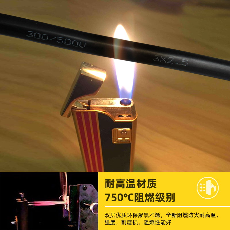 4平方10A转16A大功率转换头新能源电动汽车充电延长线集成灶插座