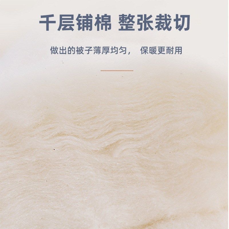 新疆长绒棉单人被子纯棉花棉絮被芯学生宿舍冬被春秋棉被加厚保暖,床上用品,棉花被,淘宝优惠券,粉丝福利购,淘宝优惠卷