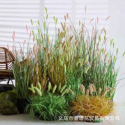 狗尾巴草仿真花芦苇草假草仿真绿植毛毛虫猫尾草假花箱装饰造景观