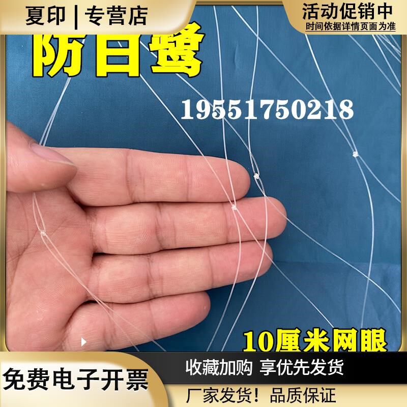 鱼塘防鸟用网青蛙养殖场防白鹭10公分网眼防鸟天网鱼塘天网防护网