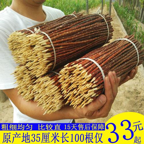 正宗红柳烤肉枝红柳烧烤签子新疆羊肉串签红柳木枝签35cm长红柳枝