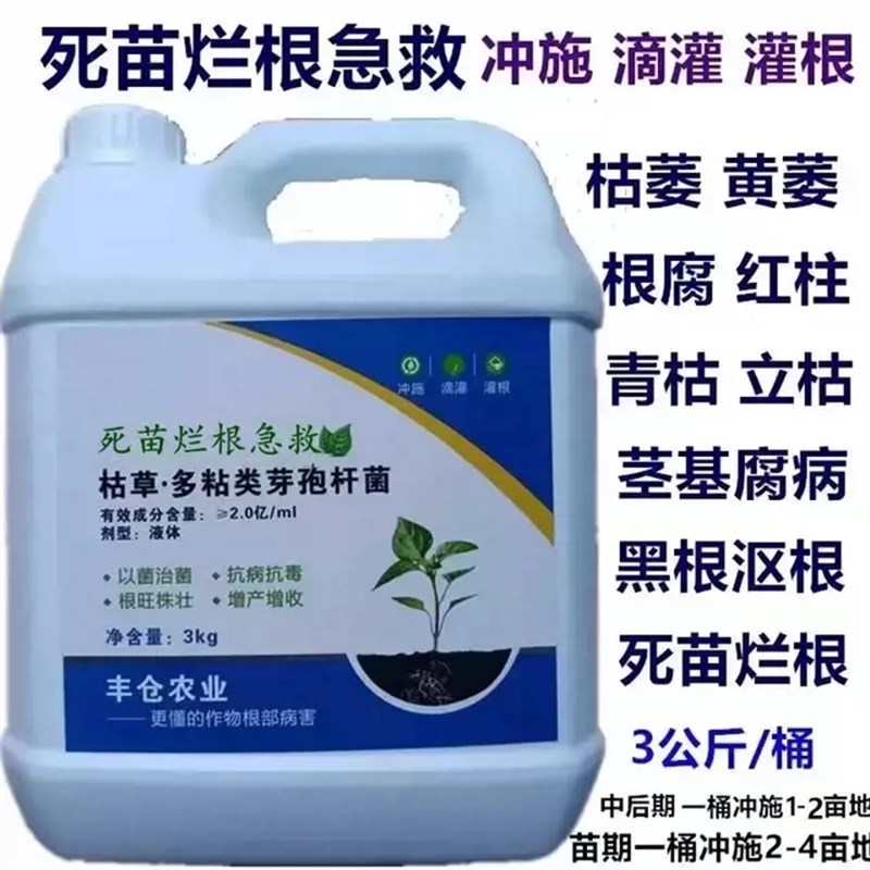 苗坚强防死苗烂根根腐黄枯萎青枯立枯蔓枯软腐抗重茬土壤传病菌剂