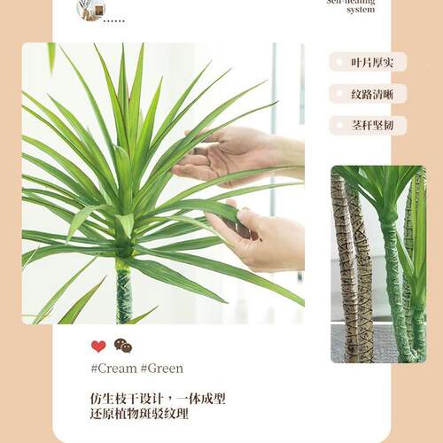 3新品奶油风仿真栽龙舌tb-75553兰绿植客厅沙发边摆2件龙血树室内