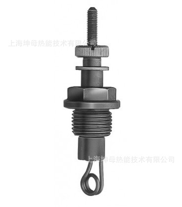 BERU贝鲁GD12-0100102307预热塞