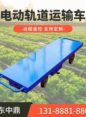 运车手拖车轻便葡搬园小板萄车万向01689轮农用电动推车平板双轨
