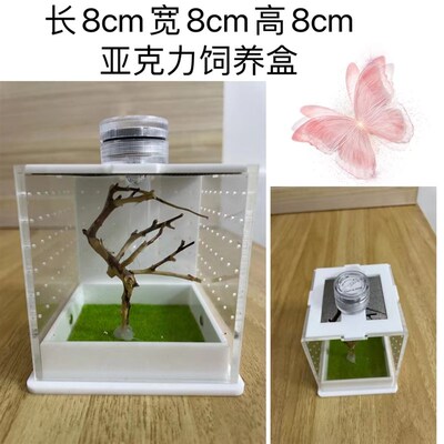 新款螳螂饲养盒跳蛛饲养盒蜘蛛昆虫亚克力蝈蝈笼子鸣虫盒子竹蛉盒