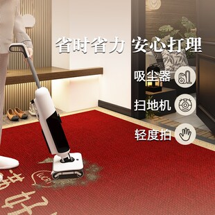 红色入户门地垫乔迁线条小狗脚垫门口进门玄关蹭脚蹭土地毯水晶绒