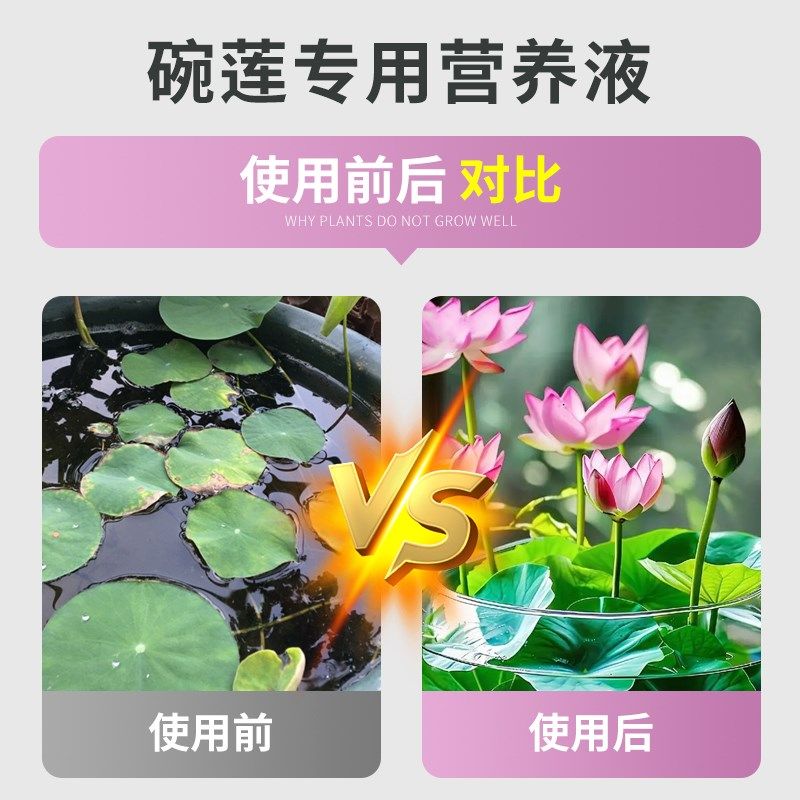 贝可施碗莲专用水培植物营养液促开花液体肥荷花肥料促根生根睡莲,鲜花速递/花卉仿真/绿植园艺,家庭园艺肥料,淘宝优惠券,粉丝福利购,淘宝优惠卷