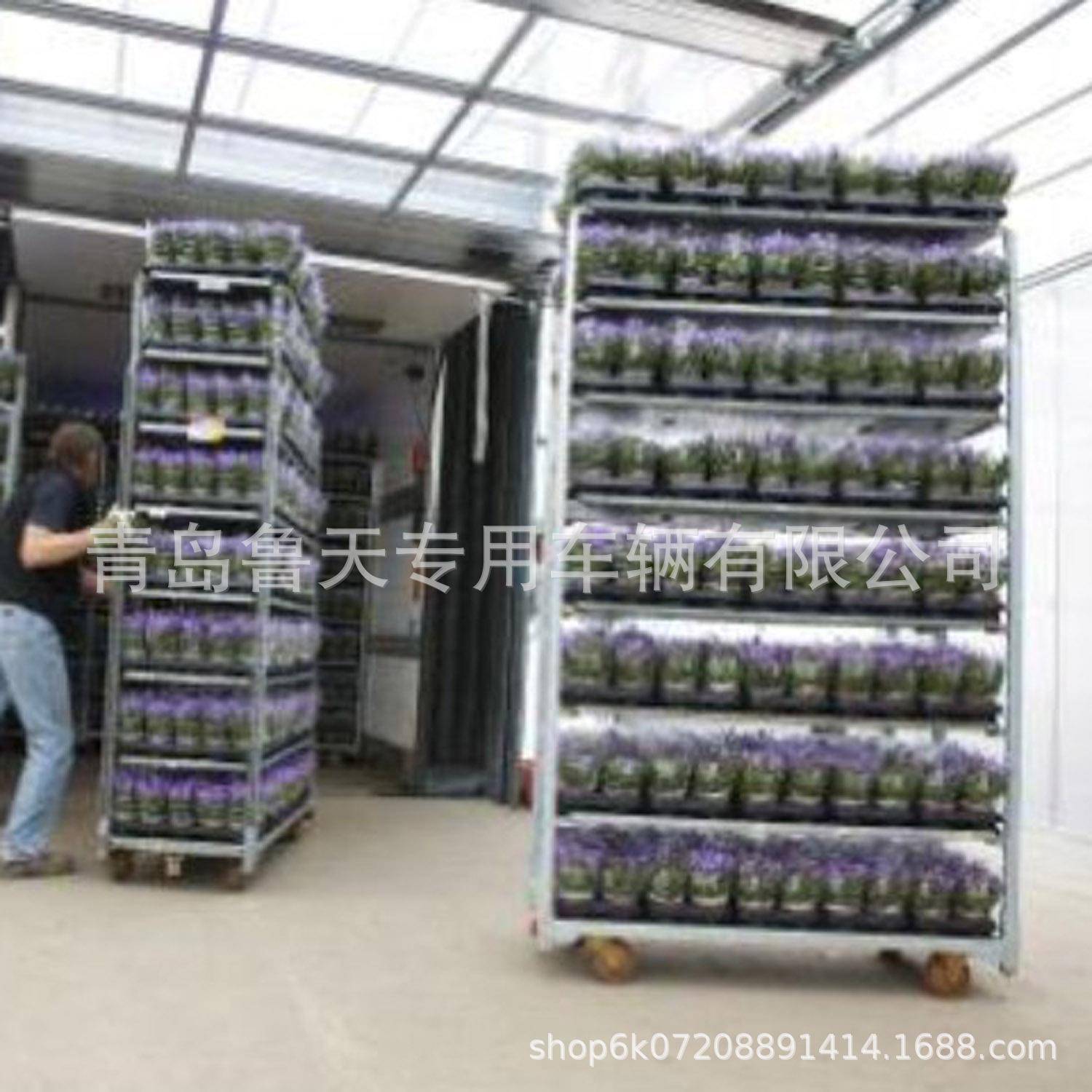 镀锌荷兰花车育苗展车可移动运输示台花卉展车车鲜花VID示车