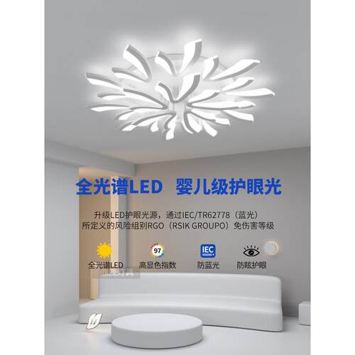 客厅吸眼531顶灯现代简约创意大气主灯d卧室20灯25新款大灯护le具