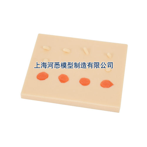表皮常见病变处理训练模型块