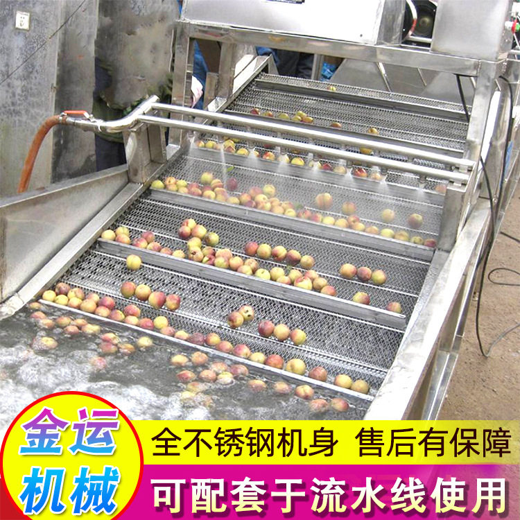 全自动喷淋气泡洗菜机