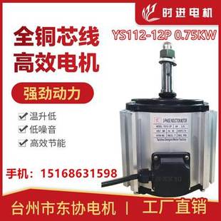 YS112-12P-0.75KW时进电机台州市东协电机玻璃钢负压风机专用