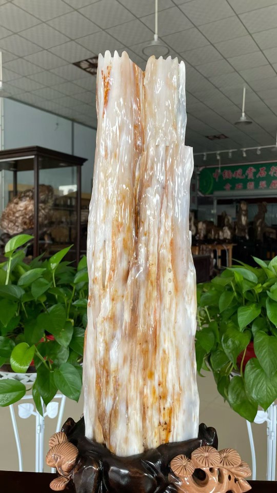 石头硅化木木造型客厅缅甸冰种奇石树原石树化玉摆件绿乳白色金色