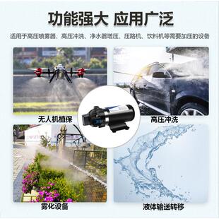 DP-SURGEFLO160高压隔膜水泵2V2V直流净水器增压1泵洗4喷雾车冲洗