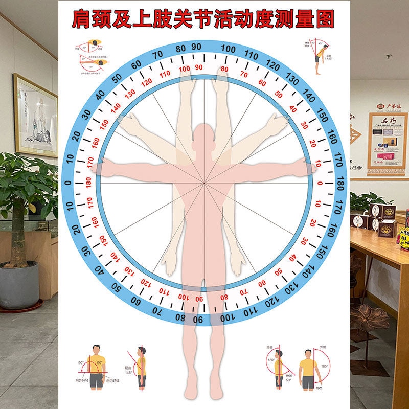 肩颈上肢关节活动度检测图墙纸医院诊所关节活动度测量评估表壁画