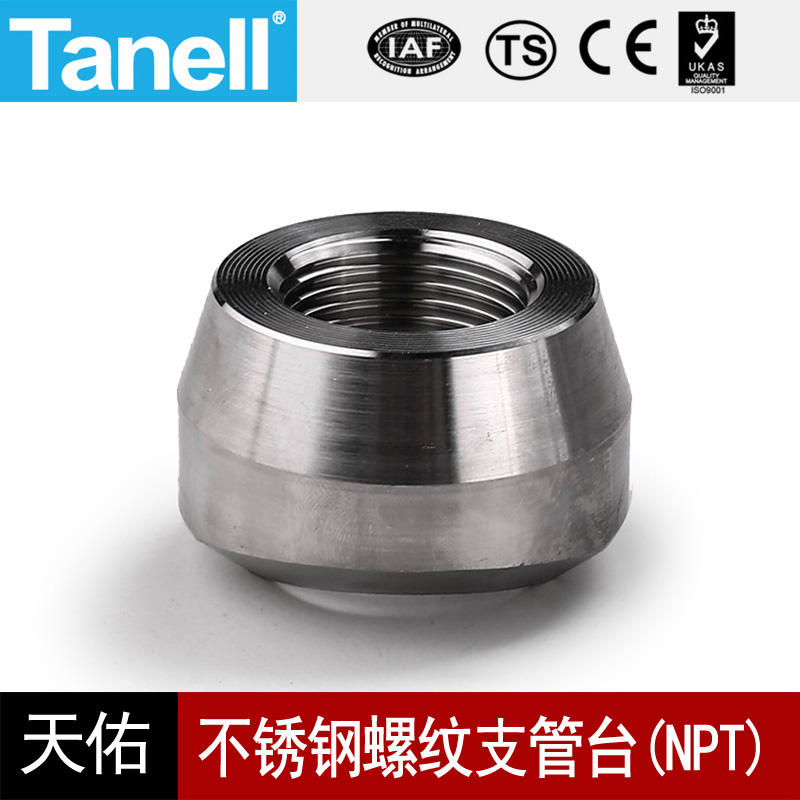 内丝支管台NPT210KG高压管件3000LB鞍座3031L接头天佑管业107