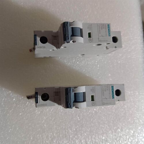 断路开关5SY6110-7CC  1P C10